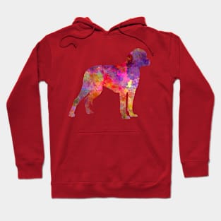 German Hound in watercolor Hoodie